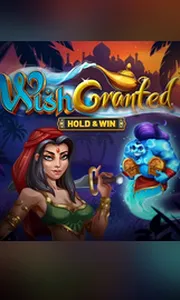 Wish Granted