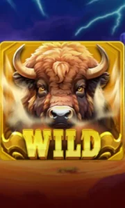 Buffalo Power Claw: Hold and Win